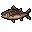 Cooked Bluefin Fish