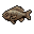 Roasted Cenote Glowfish