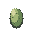 Rare Insect Egg