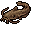 Roasted Cenote Catfish