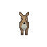 White-tailed Deer