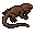 Roasted Iguana