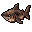 Cooked Shark