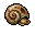 Roasted Apple Shell