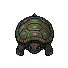 River Turtle