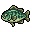 Jade Cichlid