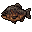 Cooked Bruto Fish